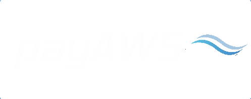 payAWS White Logo